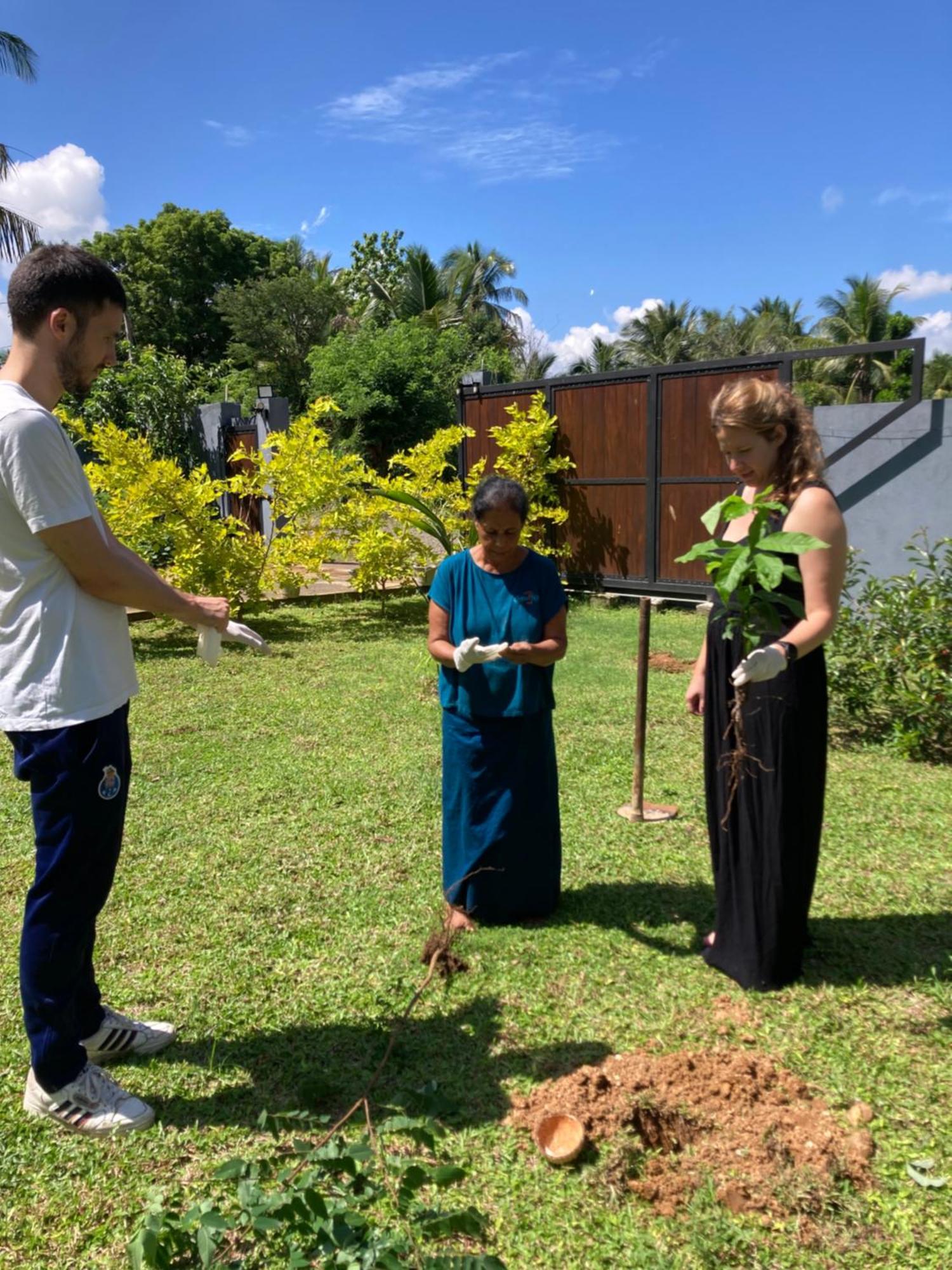 Hotel Amba Kola Udawalawa Udawalawe Exteriér fotografie
